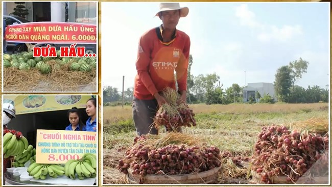 Nỗi buồn tiêu thụ nông sản và trách nhiệm của ngành nông nghiệp (14/6/2017)